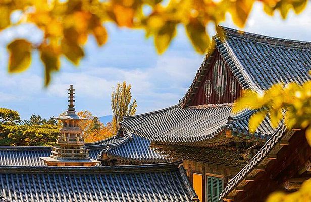 7 Highlights Gyeongju City One Day Tour from Busan