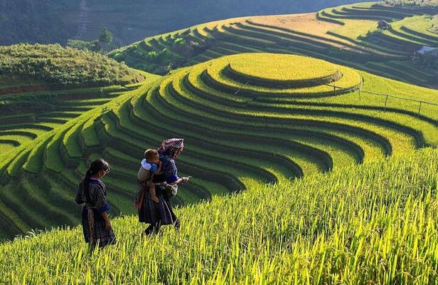 From Hanoi: Sapa 3D2N Hotel overnight by Limosine