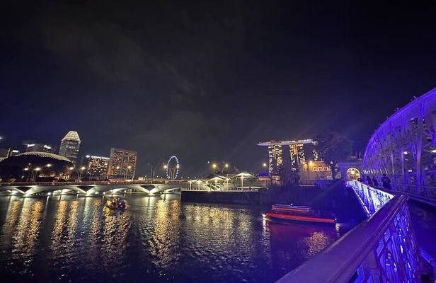 Private Night Tour : Garden by the Bay, River Cruise & Light Show