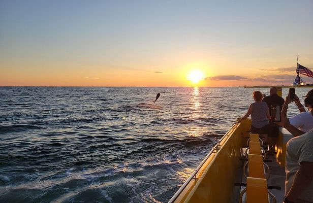 Dolphin and Sunset tour aboard the Hydro Rocket