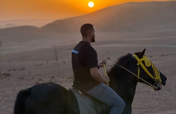 GoRocco Agafay Desert Horse Camel Quad Swim Dinner show