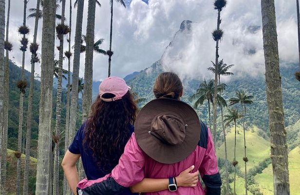 Private Full Day Tour in Cocora Valley and Coffee Farm