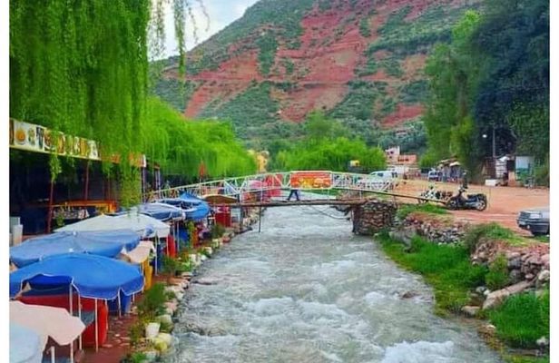 Day Trip to the Ourika Valley