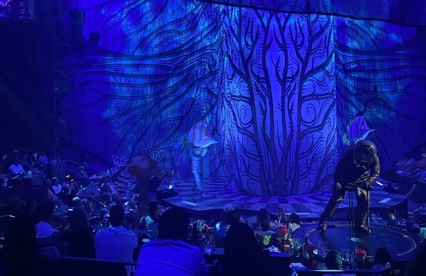 Cirque du Soleil JOYÀ in Vidanta Riviera Maya