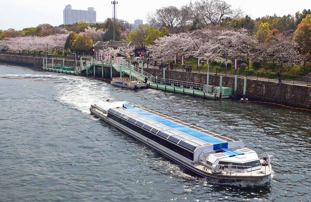 Cherry Blossoms Cruise and Osaka Castle Spring Tour