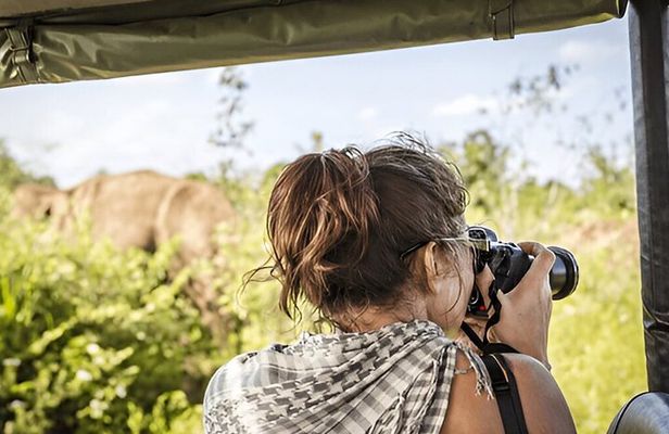 Private Tour from Ella to Tangalle with Udawalawe Safari