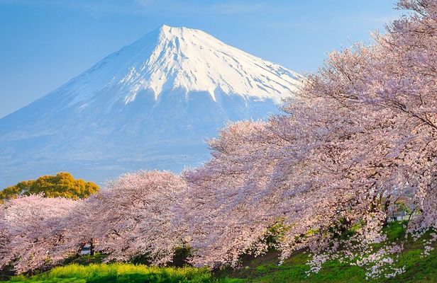 Mount Fuji & Hakone: 1-Day Private Van Tour with Hotel Pick-Up
