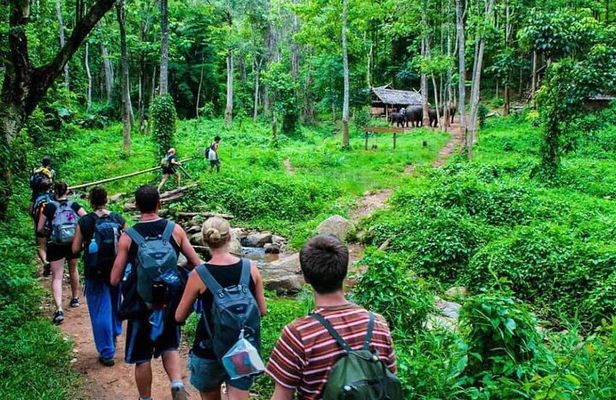 3-Day Chiang Mai Jungle Trek and Bamboo Rafting