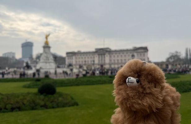 London Private Guided City Tour by Car