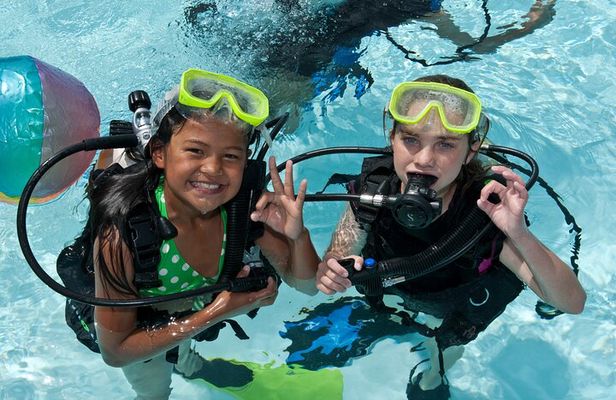 Abu Dhabi: PADI Discover Scuba Diving Program
