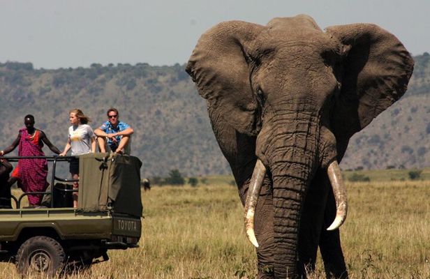 10 Day Cape Town to Johannesburg: Garden Route & Kruger Park Tour