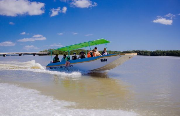 Celestun Flamingos Beach & Seafood Tour departure from Merida