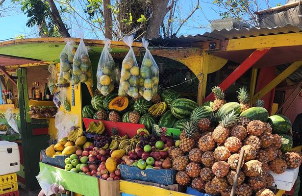 Jamaican Street Food and Rum Tasting Private Tour
