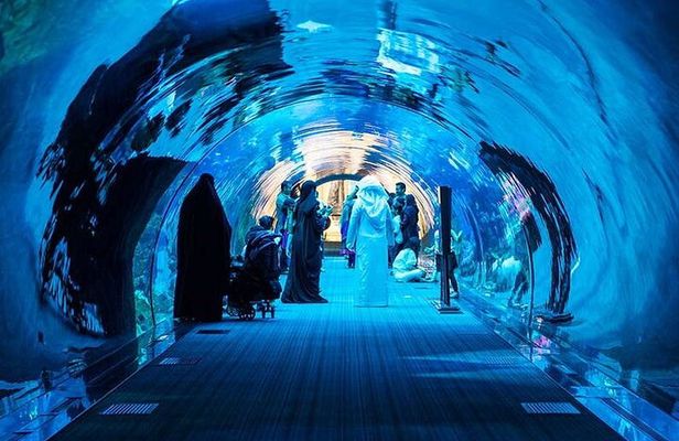 Dubai Aquarium Underwater Zoo Penguin Cove Ticket with options