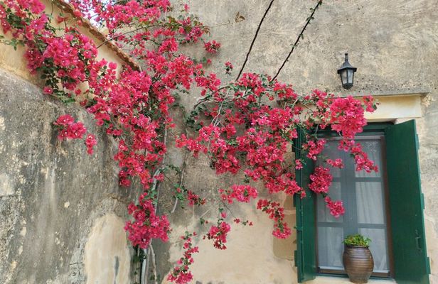 Olive oil, Honey, Cheese & Wine - Chania Villages Gastronomy Tour