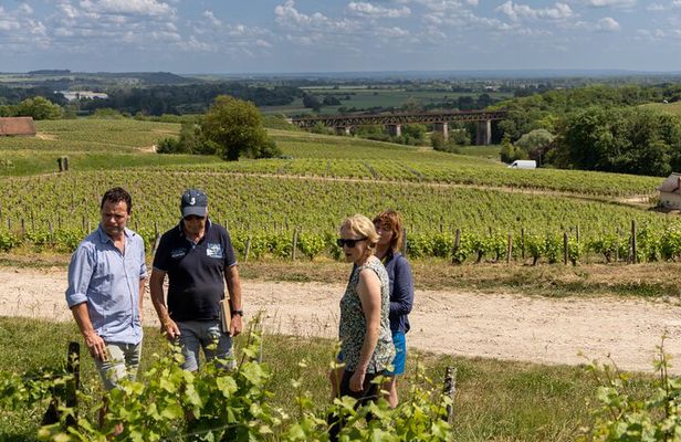 Day Trip to the Sancerre and Pouilly Vineyards