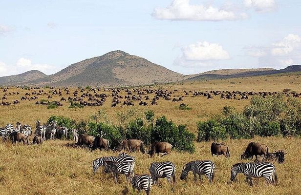 3 Days Maasai Mara Guided Private in a 4WD