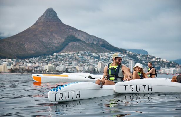 Dolphin And Ocean Wildlife Kayaking Adventure on Promenade