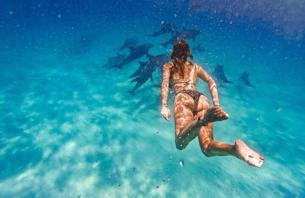 Mnemba Island Snorkeling and Swimming with Dolphins with lunch