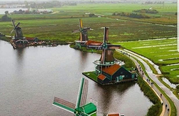 Tulips and Windmills Private Tour from Amsterdam