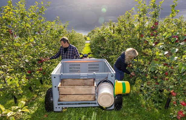 Cider Tour - Hardanger