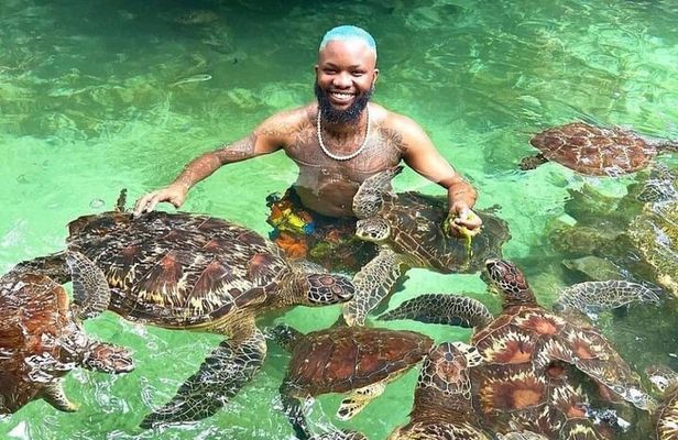 Full Day: Mnemba Island, Seafood, Natural Aquarium & Sunset Beach