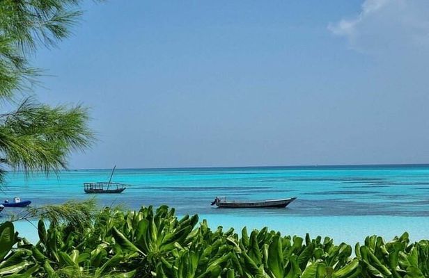 Mnemba Island Half Day Live Aquarium With Transfer - Zanzibar