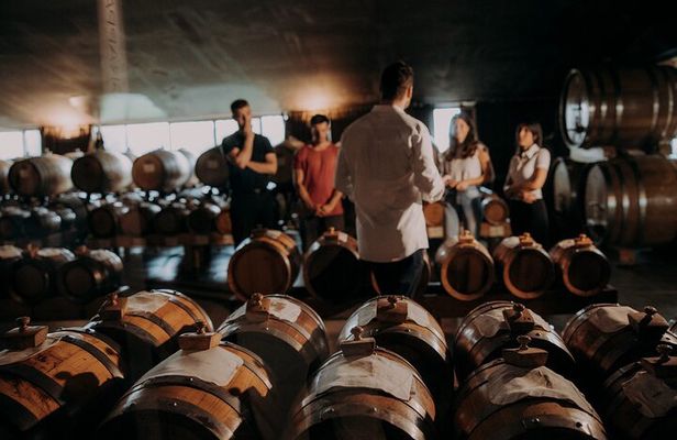 Wine and Balsamic Vinegar Tour with Tasting