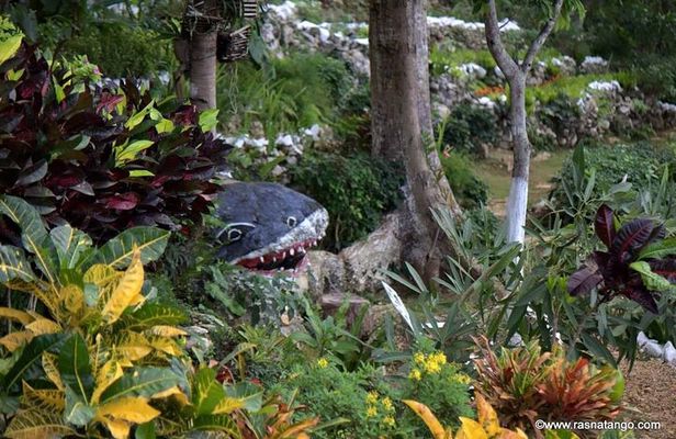 Ahhh Rasnatango Gallery and Garden