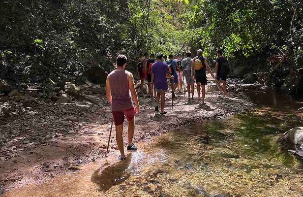 Jungle Hiking Adventure and Waterfall Swim. Nogalito Ecopark