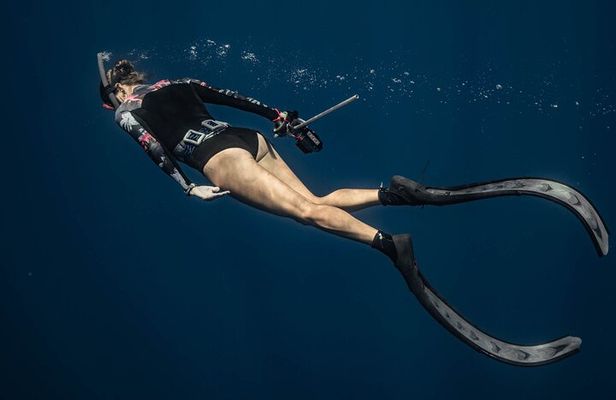 Whale watching 6 people half day