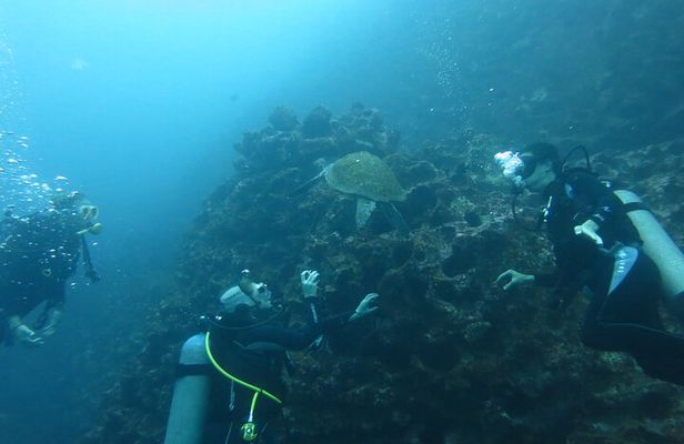 Night Dive Adventure in Academy Bay