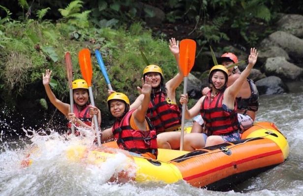 Private Day Trip Bali Rafting, Monkey Forest and Waterfall