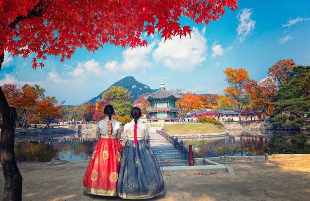 Customized Private Tour from Seoul