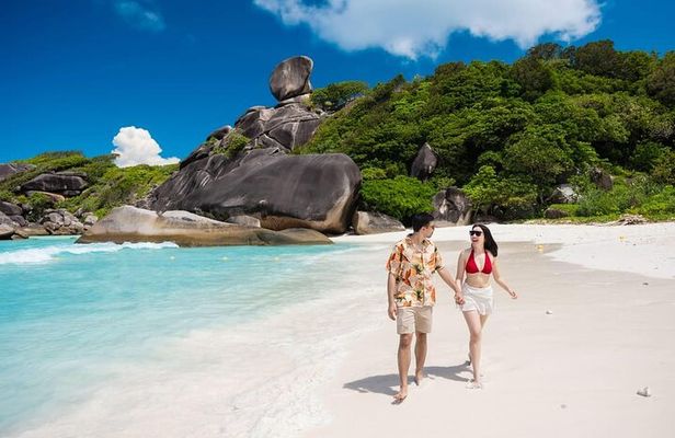 Similan Islands Turtles Tour By Speed Boat Pick up from Phuket