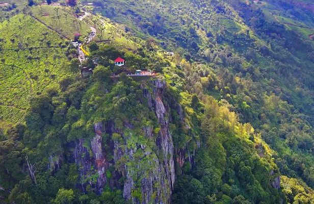 Coimbatore to Ooty Day Trip - Explore A Perfect Hill Station