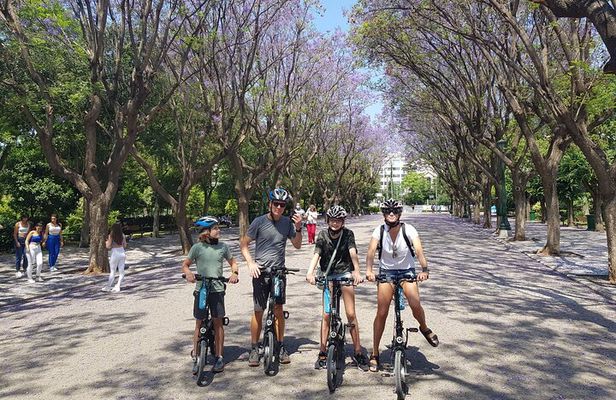 Discover the City Private e-bike tours