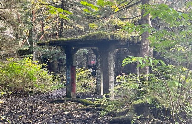 Historical Walking Tour of Abandoned Gold Rush Era City with AR