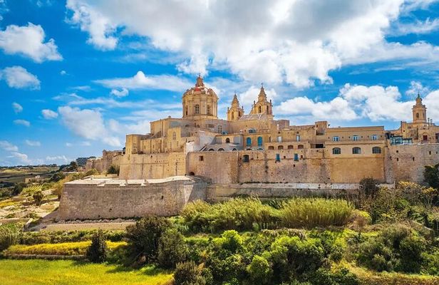 Private Day Tour in Malta