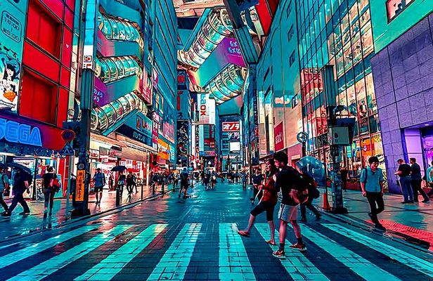 Customizable Private Tokyo Tour with English Speaking Driver
