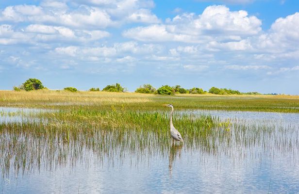 3h Boat Safari - Montreal’s Nature and Iconic Attractions Tour