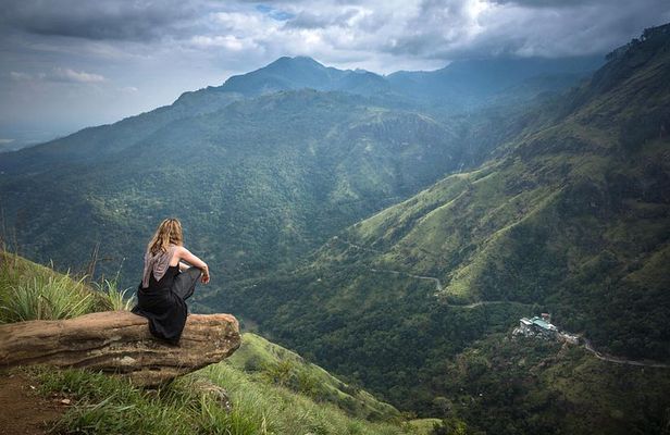 Ella Experience with Picturesque Tea Estate and Train Journey