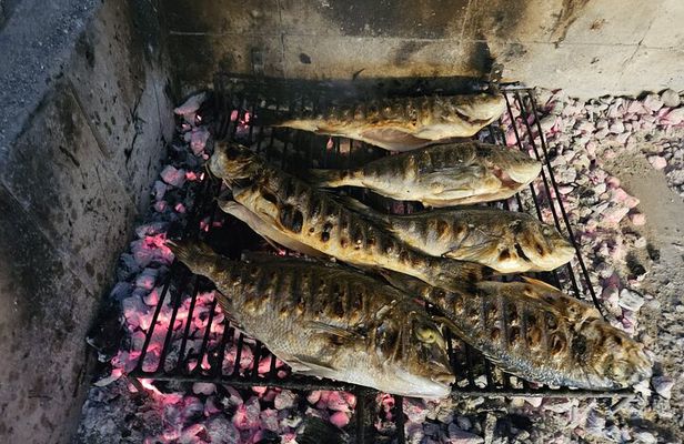 Dubrovnik to Split Private Transfer with 5-Course Lunch Included