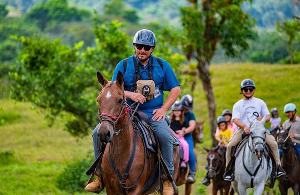 Pacos Horseback Ride Through Arenal’s Forest and Cross Rivers