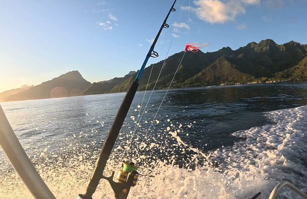 4 Hour Private Fishing Discovery Tour