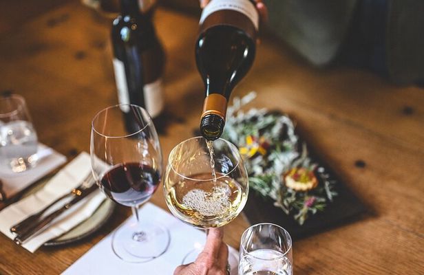 Savour Voyager Wine Tasting