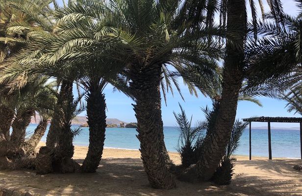 Private VIP Excursion to Vai Beach and Monastery Toplu