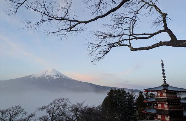Mt. Fuji Private Tour w/ local English speaking guide & activity