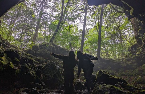Mt. Fuji Private Tour w/ local English speaking guide & activity