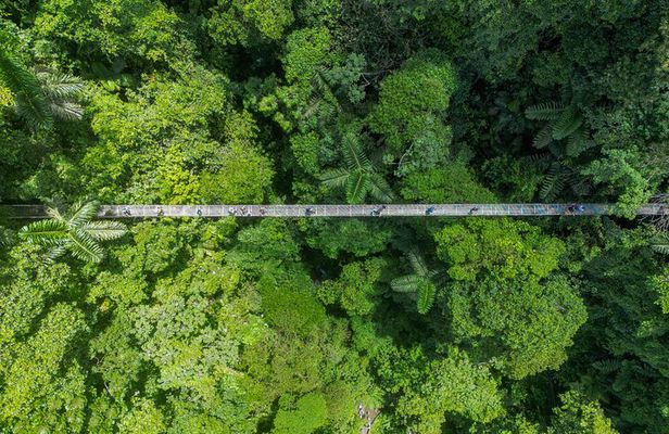 Combo Mistico Hanging Bridges and La Fortuna Waterfall
